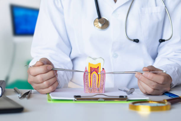 Best Mobile Emergency Dentist in Cajahs Mountain, NC